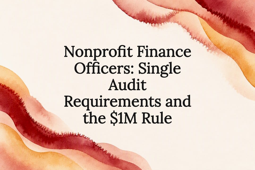 Decorative nonprofit audit title card