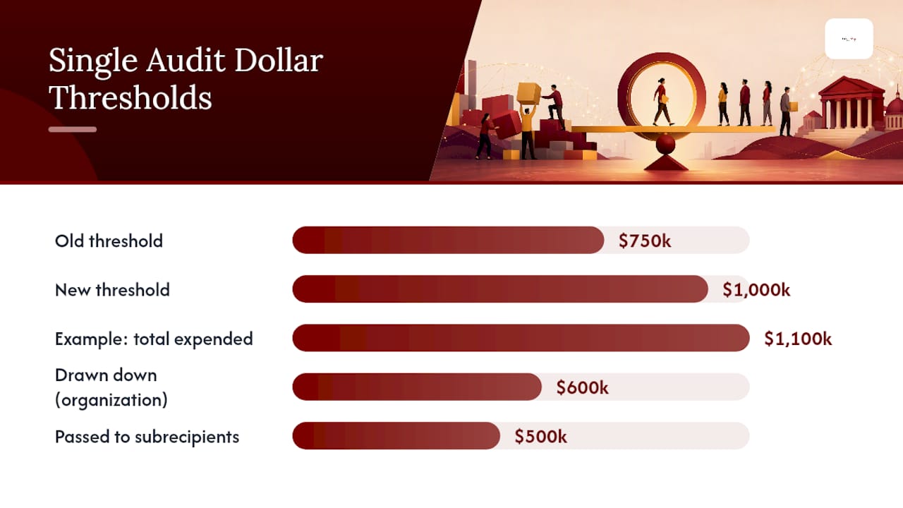 Who Must Have a Single Audit? Threshold and Special Cases — overview diagram